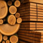 Kayu akasia duma pekanbaru